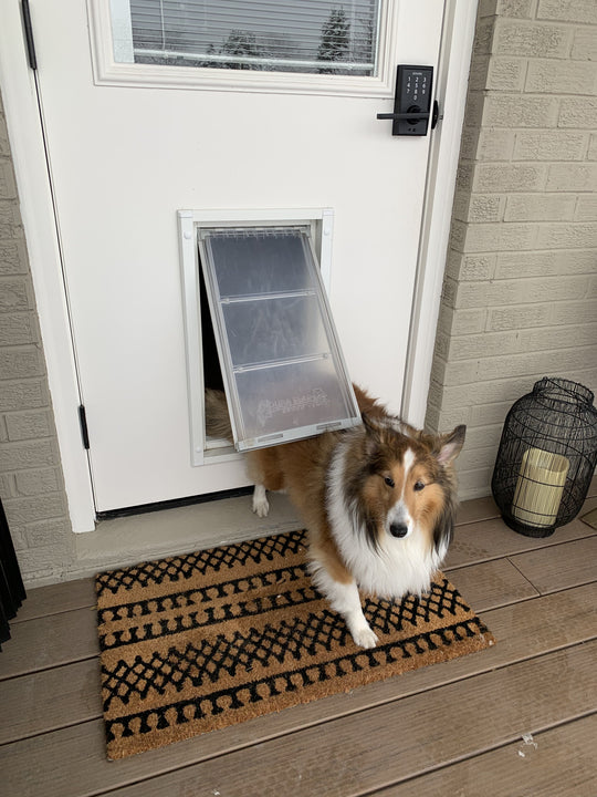 Endura Flap Pet Door For Doors