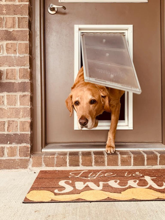 Endura Flap Pet Door For Doors