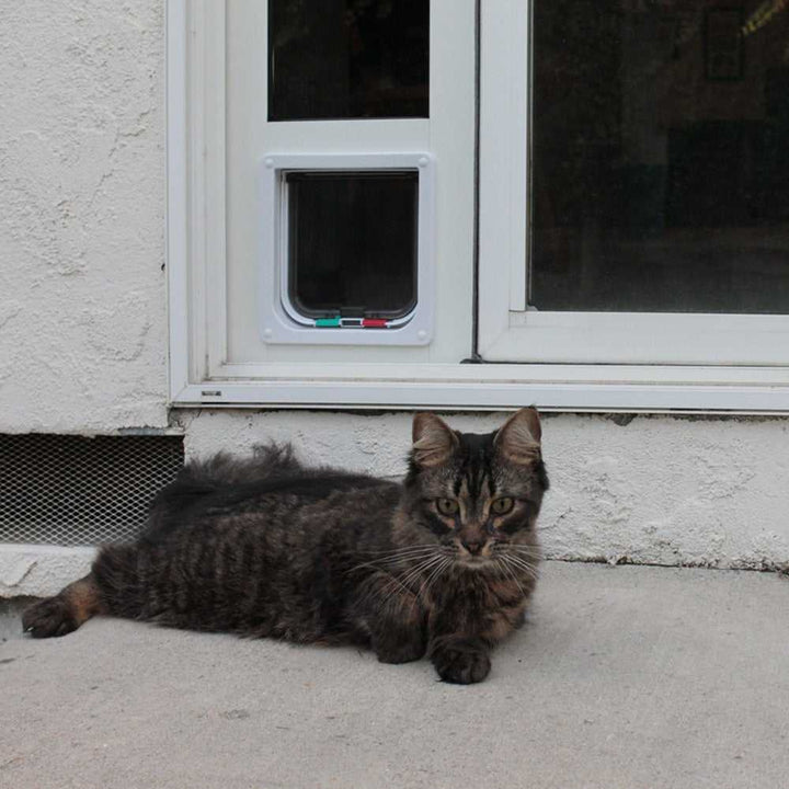 Whiskers & Windows Cat Door For Sliding Glass Doors