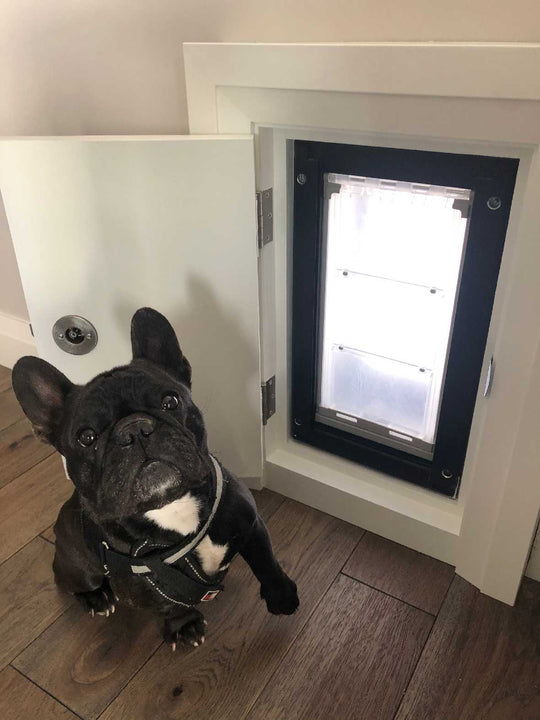 Endura Flap Original Dog Doors for Walls