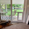 Pet Door Guys In The Glass Pet Door