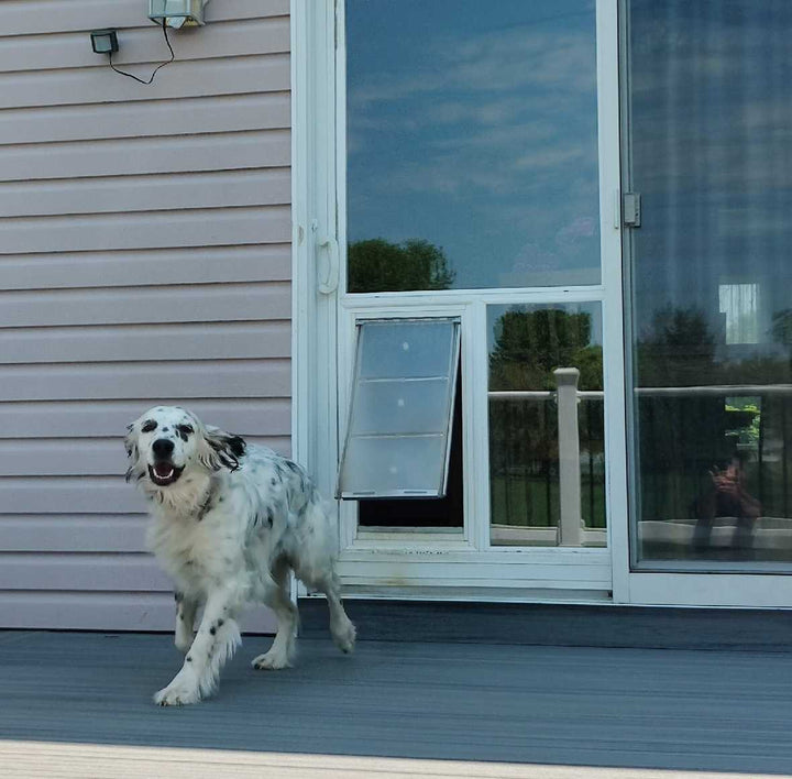 Pet Door Guys In The Glass Pet Door