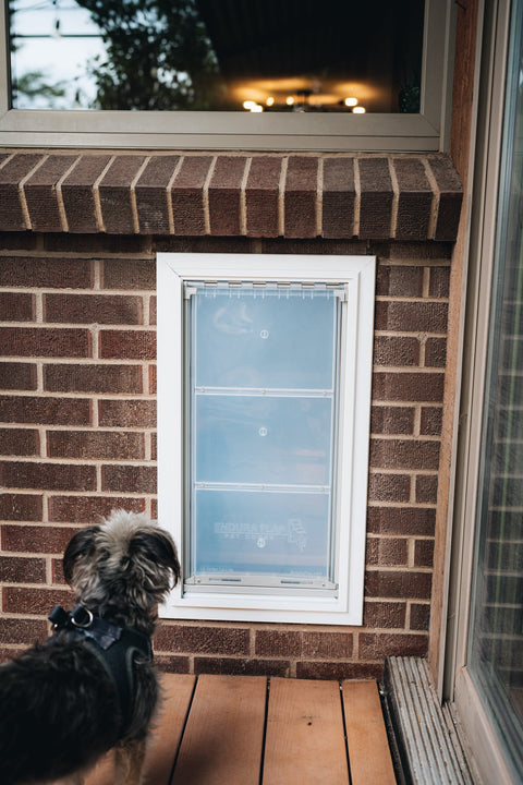 Endura Flap E2 Dog Doors for Walls