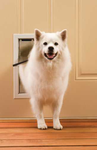 PetSafe Freedom Aluminum Pet Door