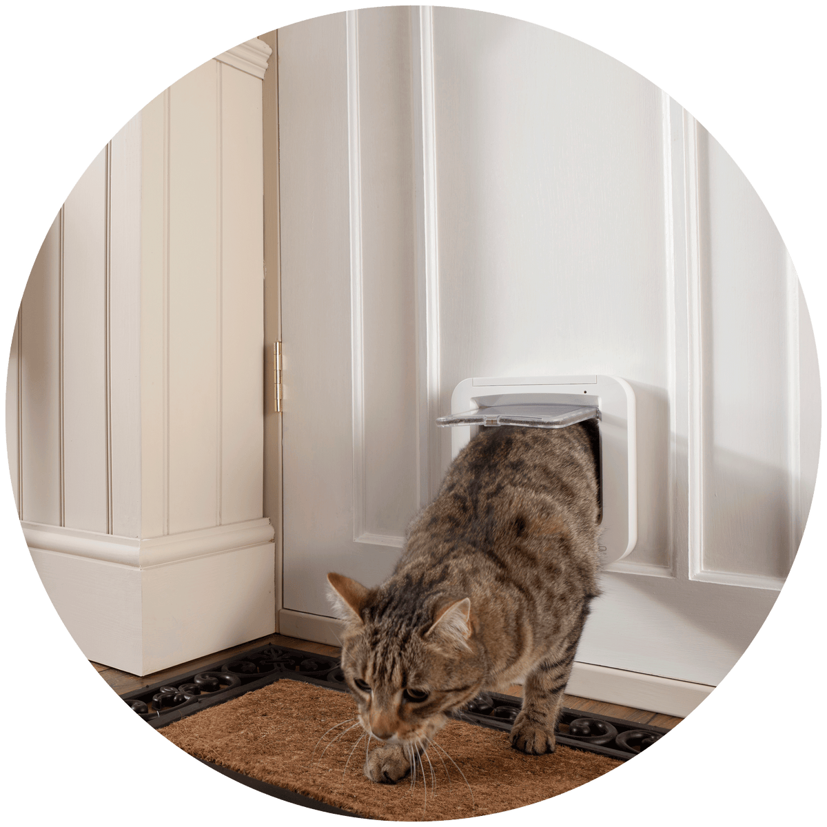 Pet Doors for Doors